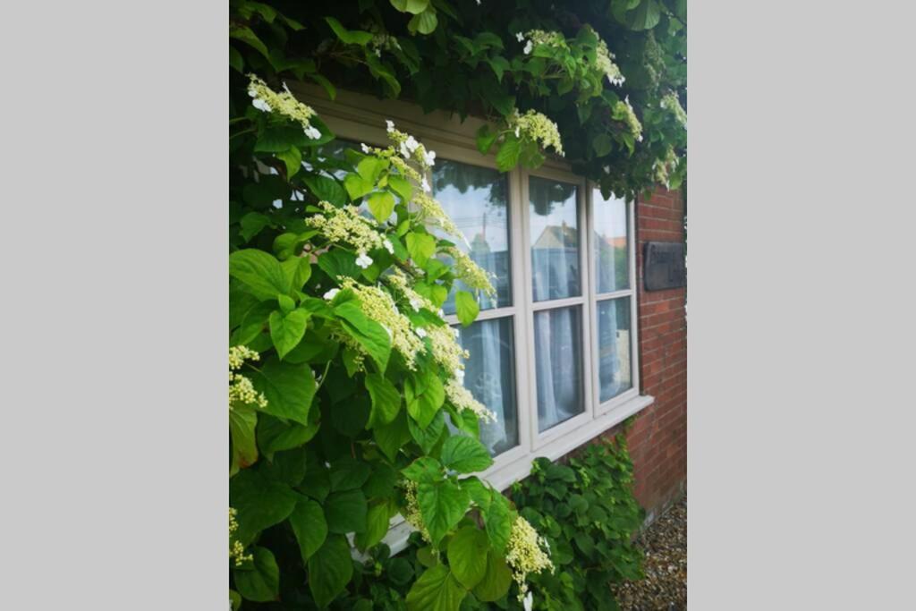 Blakeney Norfolk Bramble Lodge ***Self Catering*** Ngoại thất bức ảnh