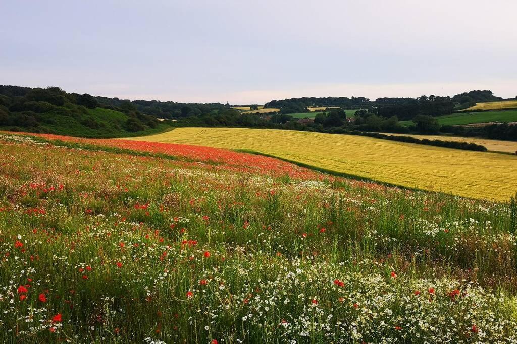 Blakeney Norfolk Bramble Lodge ***Self Catering*** Ngoại thất bức ảnh